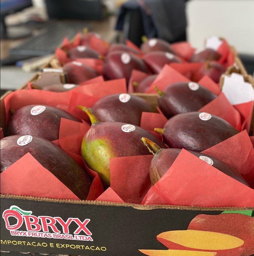 Caixas BRYX de manga embalada